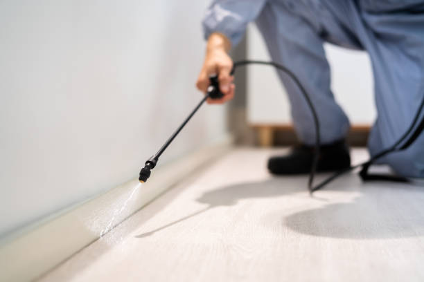 Certified termite inspector examining foundation in Cresson